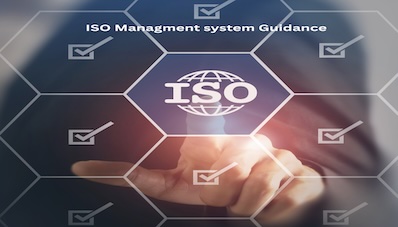 ISO Management System Guidance